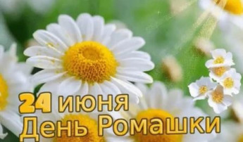 Весёлый день ромашки в детском саду. Весёлый день ромашки в детском саду.