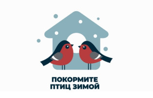 Покормите птиц зимой! Покормите птиц зимой!.